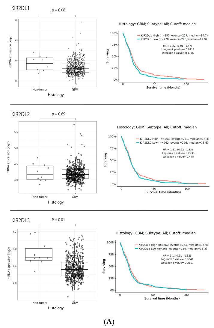 https://cdn.ncbi.nlm.nih.gov/pmc/blobs/eea1/10531877/1fbf303ca418/ijms-24-14183-g001a.jpg