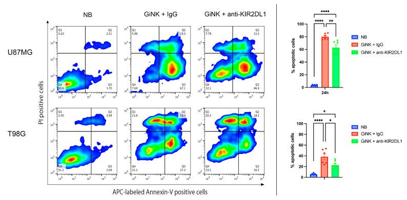 https://cdn.ncbi.nlm.nih.gov/pmc/blobs/eea1/10531877/b5c7bfcfc190/ijms-24-14183-g003.jpg