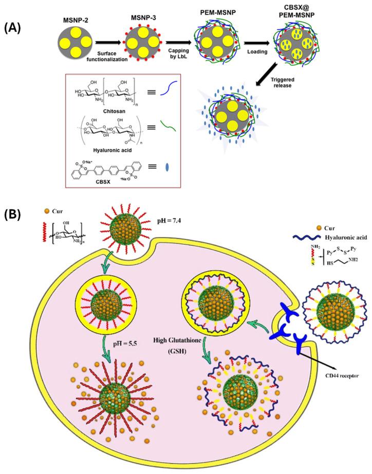https://cdn.ncbi.nlm.nih.gov/pmc/blobs/eea2/12196772/22dc9b28b962/polymers-17-01640-g004.jpg