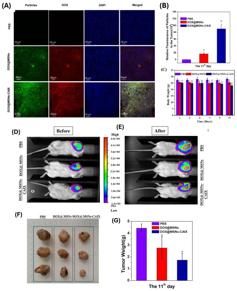 https://cdn.ncbi.nlm.nih.gov/pmc/blobs/eea2/12196772/6e2b7e48e4e2/polymers-17-01640-g011.jpg