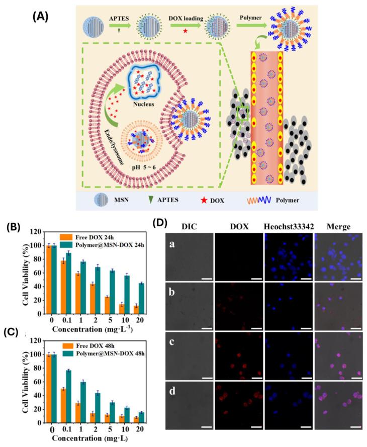 https://cdn.ncbi.nlm.nih.gov/pmc/blobs/eea2/12196772/8573c7d9b0fb/polymers-17-01640-g009.jpg