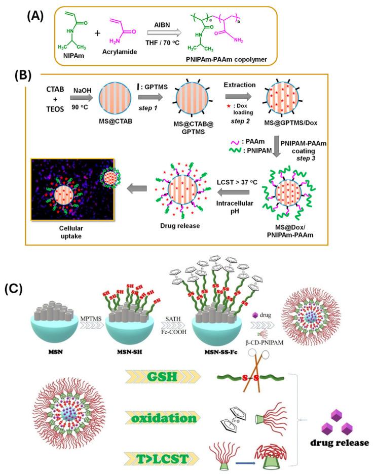 https://cdn.ncbi.nlm.nih.gov/pmc/blobs/eea2/12196772/8e5a0820a251/polymers-17-01640-g006.jpg