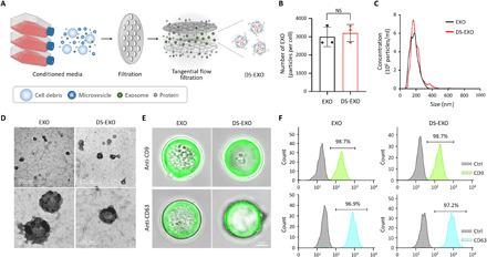 https://cdn.ncbi.nlm.nih.gov/pmc/blobs/eea3/8172131/39015aa2e0d7/abe0083-F3.jpg