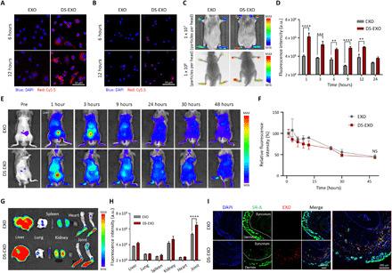 https://cdn.ncbi.nlm.nih.gov/pmc/blobs/eea3/8172131/64bb61fb0c9c/abe0083-F5.jpg
