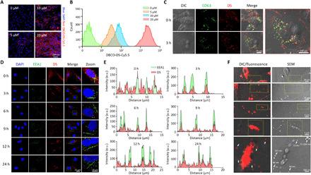 https://cdn.ncbi.nlm.nih.gov/pmc/blobs/eea3/8172131/9eaa0cfb23a7/abe0083-F2.jpg