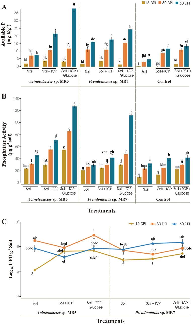 https://cdn.ncbi.nlm.nih.gov/pmc/blobs/eea4/11671494/466e6cdf5ff4/fmicb-15-1470019-g002.jpg