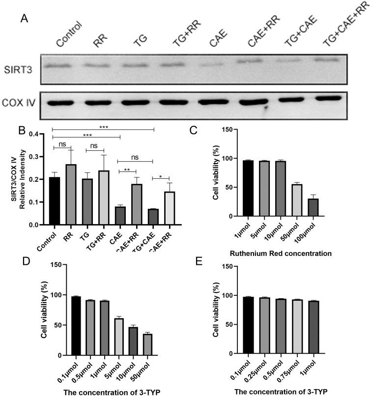 https://cdn.ncbi.nlm.nih.gov/pmc/blobs/eea4/12417712/17048193f99b/IJGM-18-5195-g0003.jpg