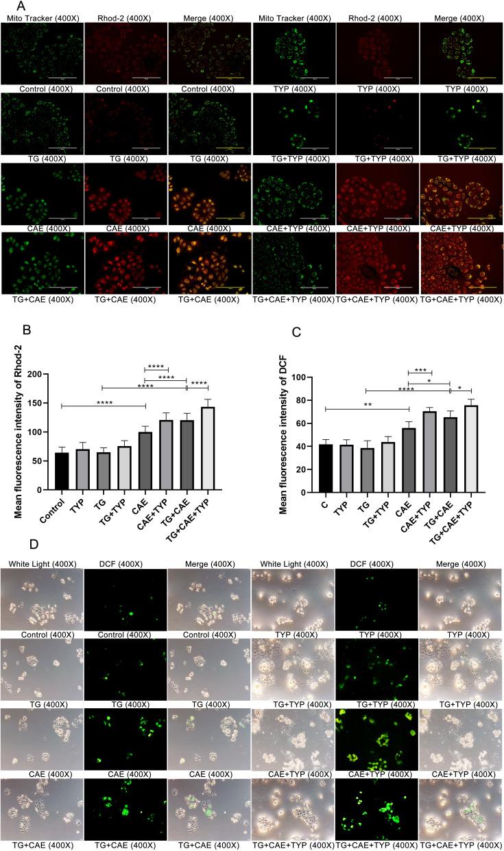 https://cdn.ncbi.nlm.nih.gov/pmc/blobs/eea4/12417712/4121472fcef8/IJGM-18-5195-g0006.jpg