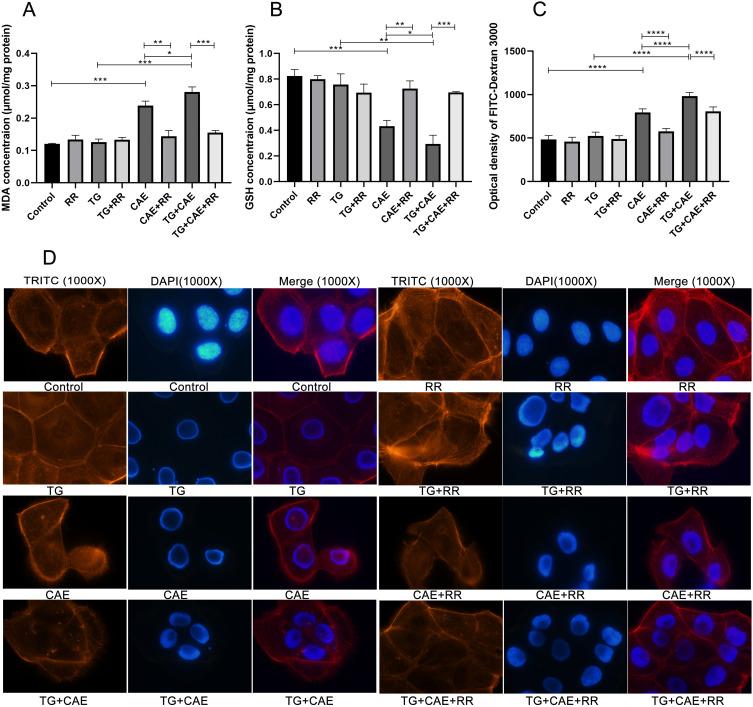 https://cdn.ncbi.nlm.nih.gov/pmc/blobs/eea4/12417712/7b66f12a6151/IJGM-18-5195-g0005.jpg