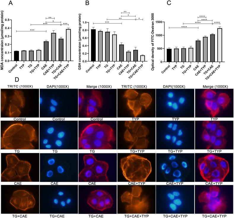 https://cdn.ncbi.nlm.nih.gov/pmc/blobs/eea4/12417712/cb7d6f640da8/IJGM-18-5195-g0007.jpg