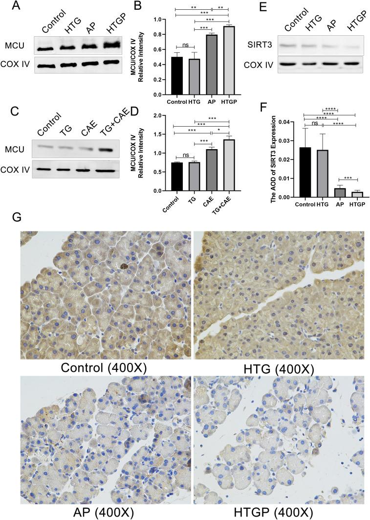 https://cdn.ncbi.nlm.nih.gov/pmc/blobs/eea4/12417712/e591b54d2e43/IJGM-18-5195-g0002.jpg