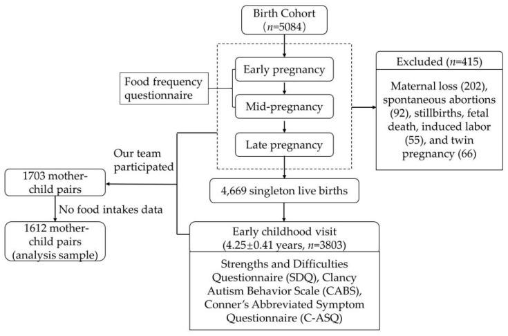 https://cdn.ncbi.nlm.nih.gov/pmc/blobs/eea4/9916231/e8afee217f20/ijerph-20-02214-g001.jpg
