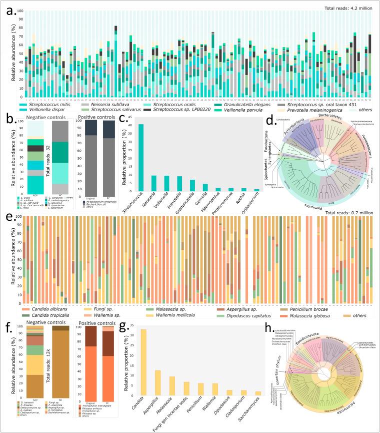 https://cdn.ncbi.nlm.nih.gov/pmc/blobs/eea7/11237516/3593055fd73f/spectrum.04150-23.f005.jpg