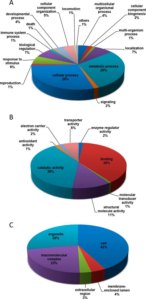 https://cdn.ncbi.nlm.nih.gov/pmc/blobs/eea7/4338194/39f570caf185/pone.0118231.g004.jpg