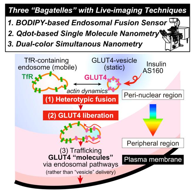 https://cdn.ncbi.nlm.nih.gov/pmc/blobs/eea7/9010770/397ef42a6c70/fx1.jpg