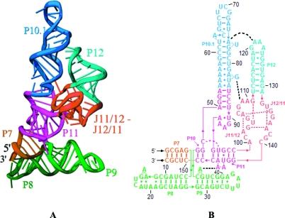 https://cdn.ncbi.nlm.nih.gov/pmc/blobs/eea8/2938832/17dcd6595de6/bi-2010-00286n_0008.jpg