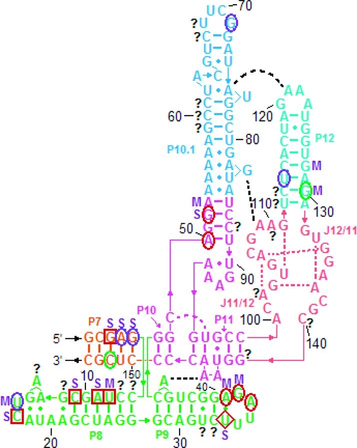 https://cdn.ncbi.nlm.nih.gov/pmc/blobs/eea8/2938832/f8bb48672ba0/bi-2010-00286n_0002.jpg