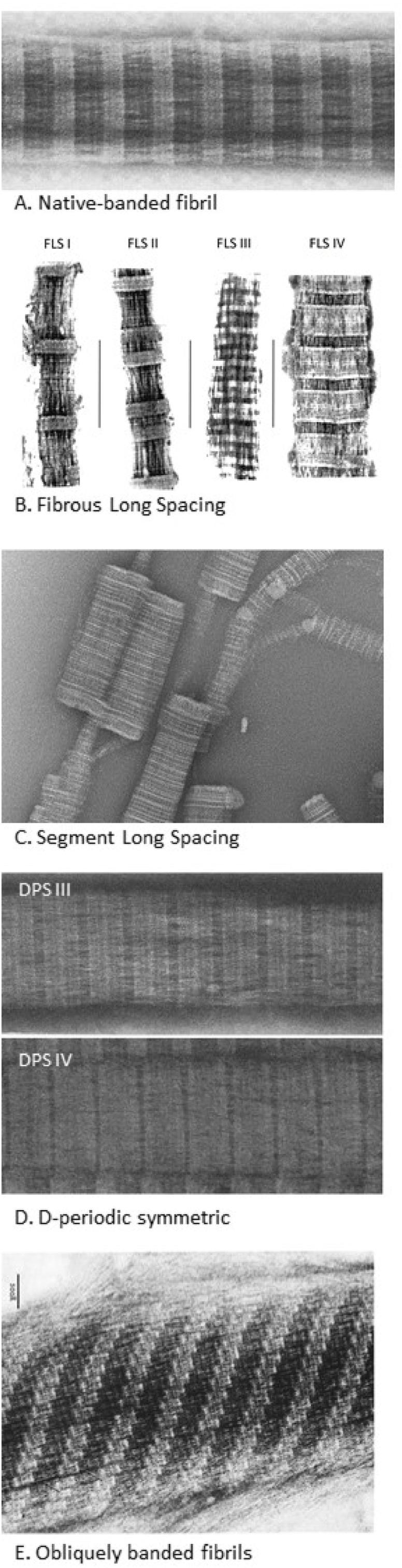 https://cdn.ncbi.nlm.nih.gov/pmc/blobs/eea8/9218154/6937a1bedf9b/gr4.jpg