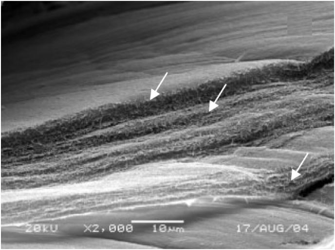 https://cdn.ncbi.nlm.nih.gov/pmc/blobs/eea8/9218154/8cdb87ecdd60/gr8.jpg