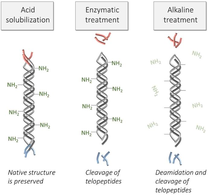 https://cdn.ncbi.nlm.nih.gov/pmc/blobs/eea8/9218154/94dd767dbf10/gr1.jpg