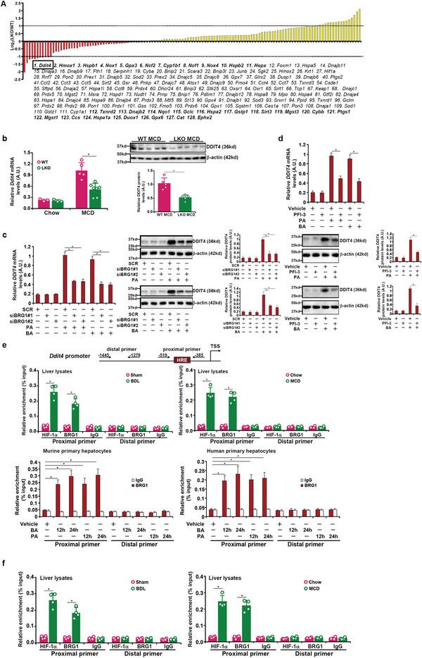 https://cdn.ncbi.nlm.nih.gov/pmc/blobs/eeab/8456271/3fb868ea8d87/ADVS-8-2101957-g003.jpg