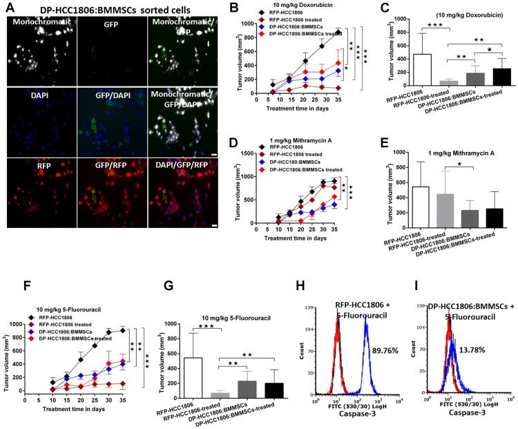 https://cdn.ncbi.nlm.nih.gov/pmc/blobs/eeac/6544397/39361d91e10e/oncotarget-10-3435-g003.jpg
