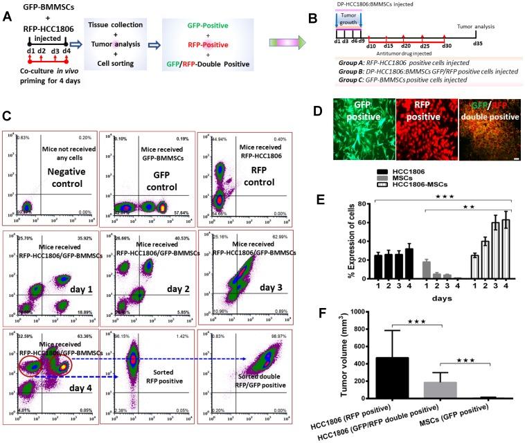 https://cdn.ncbi.nlm.nih.gov/pmc/blobs/eeac/6544397/872b13342d3a/oncotarget-10-3435-g002.jpg