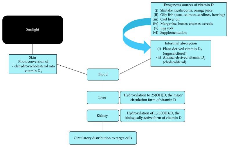 https://cdn.ncbi.nlm.nih.gov/pmc/blobs/eead/6188726/0662c6903586/IJD2018-7315797.002.jpg
