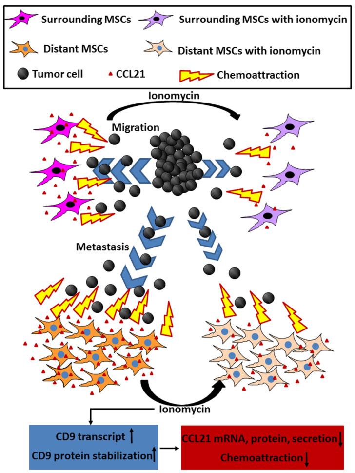 https://cdn.ncbi.nlm.nih.gov/pmc/blobs/eead/7915477/22953048e591/ijms-22-01738-g009.jpg