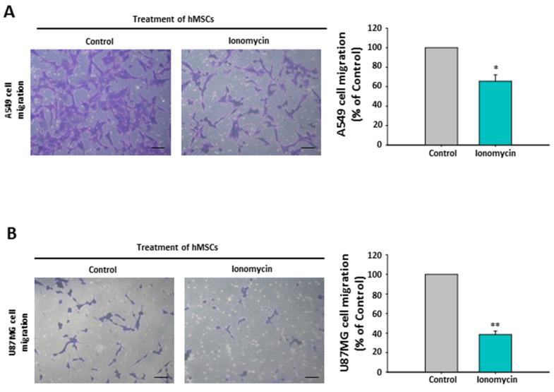 https://cdn.ncbi.nlm.nih.gov/pmc/blobs/eead/7915477/40e705602a9e/ijms-22-01738-g008.jpg