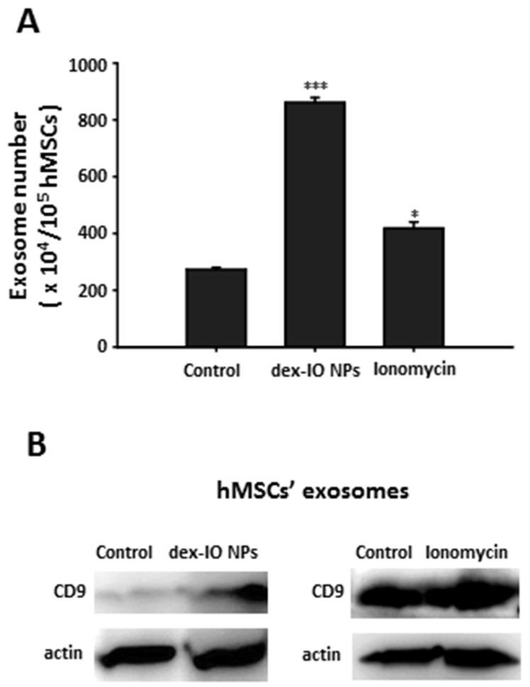 https://cdn.ncbi.nlm.nih.gov/pmc/blobs/eead/7915477/9154c21cc198/ijms-22-01738-g001.jpg