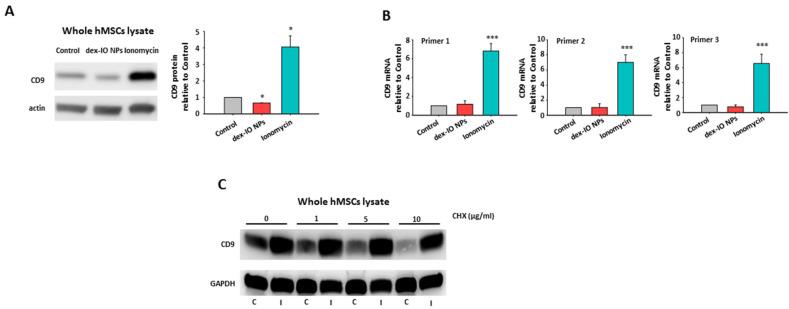 https://cdn.ncbi.nlm.nih.gov/pmc/blobs/eead/7915477/fa30242b772c/ijms-22-01738-g006.jpg