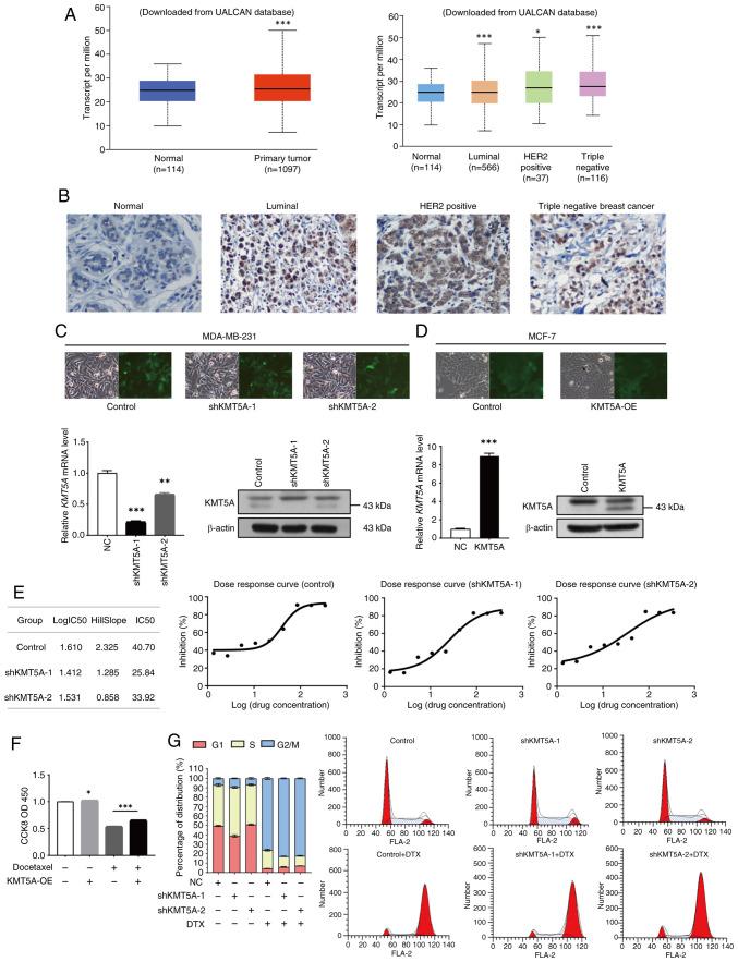https://cdn.ncbi.nlm.nih.gov/pmc/blobs/eeb3/11258601/a7705f321042/or-52-02-08769-g00.jpg