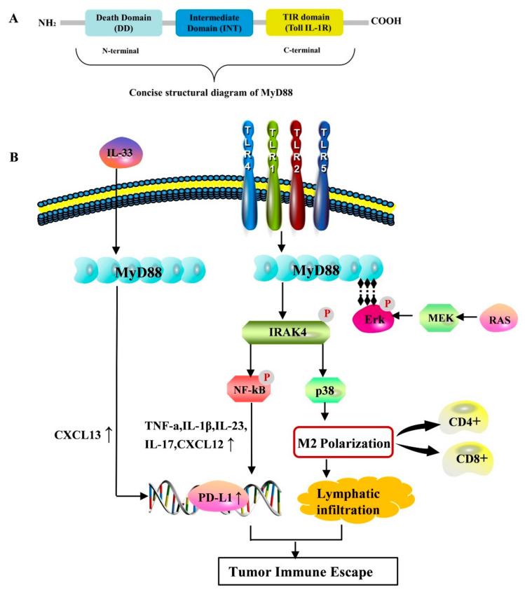 https://cdn.ncbi.nlm.nih.gov/pmc/blobs/eeb4/11118248/3d771feaf452/biomolecules-14-00562-g001.jpg