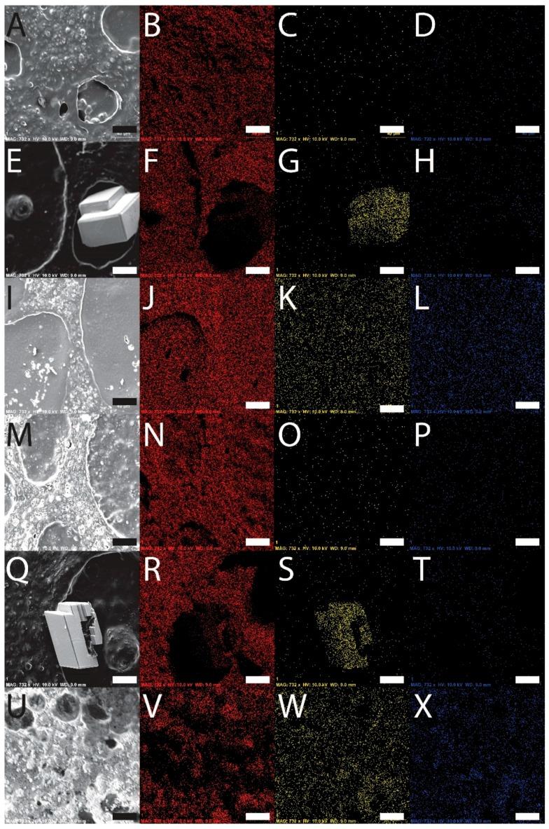 https://cdn.ncbi.nlm.nih.gov/pmc/blobs/eeb4/5456849/2e3fd1ffea7a/materials-09-00560-g002.jpg