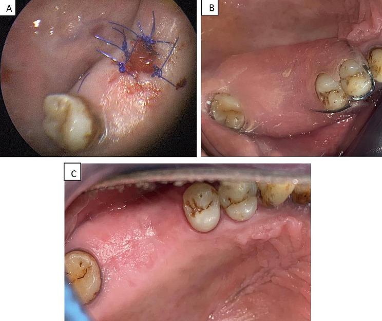 https://cdn.ncbi.nlm.nih.gov/pmc/blobs/eeb5/11180408/746271f0b2cf/12903_2024_4409_Figd_HTML.jpg