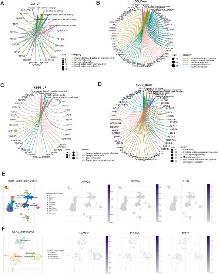 https://cdn.ncbi.nlm.nih.gov/pmc/blobs/eeb6/11387377/0f0a48256148/gr6.jpg