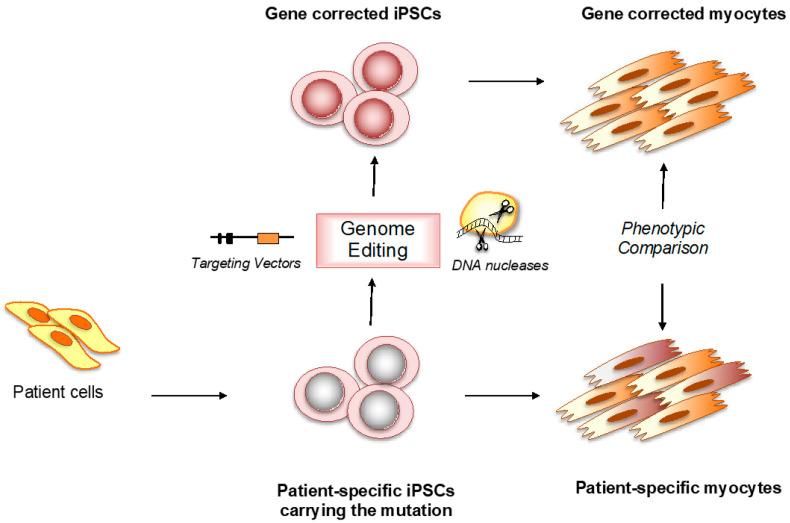 https://cdn.ncbi.nlm.nih.gov/pmc/blobs/eebe/7967174/595878a239db/jcm-10-01149-g001.jpg