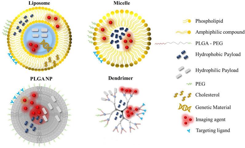 https://cdn.ncbi.nlm.nih.gov/pmc/blobs/eec0/11003188/369a5531491e/40001_2024_1822_Fig6_HTML.jpg
