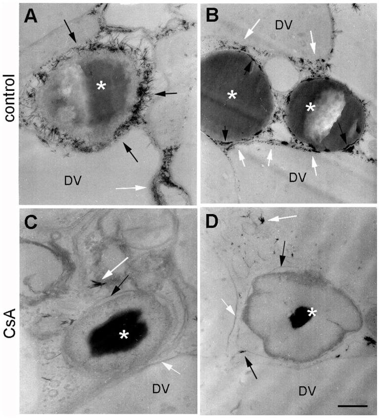 https://cdn.ncbi.nlm.nih.gov/pmc/blobs/eec0/4530934/0684b994ab6e/pone.0134779.g003.jpg
