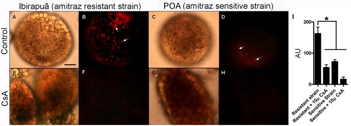 https://cdn.ncbi.nlm.nih.gov/pmc/blobs/eec0/4530934/867990ed1d4e/pone.0134779.g004.jpg