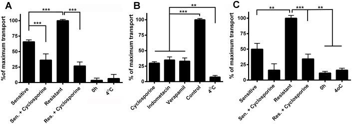 https://cdn.ncbi.nlm.nih.gov/pmc/blobs/eec0/4530934/f518c5e2bdad/pone.0134779.g005.jpg