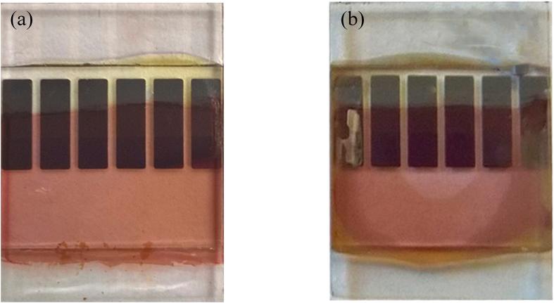 https://cdn.ncbi.nlm.nih.gov/pmc/blobs/eec0/4746663/f0f8ac9efec6/srep21632-f4.jpg