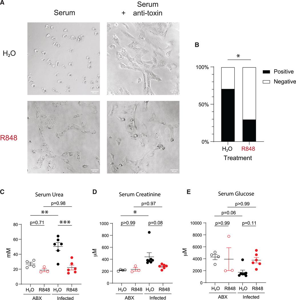 https://cdn.ncbi.nlm.nih.gov/pmc/blobs/eec1/12115236/23a4ad25ee2c/nihms-2076696-f0006.jpg