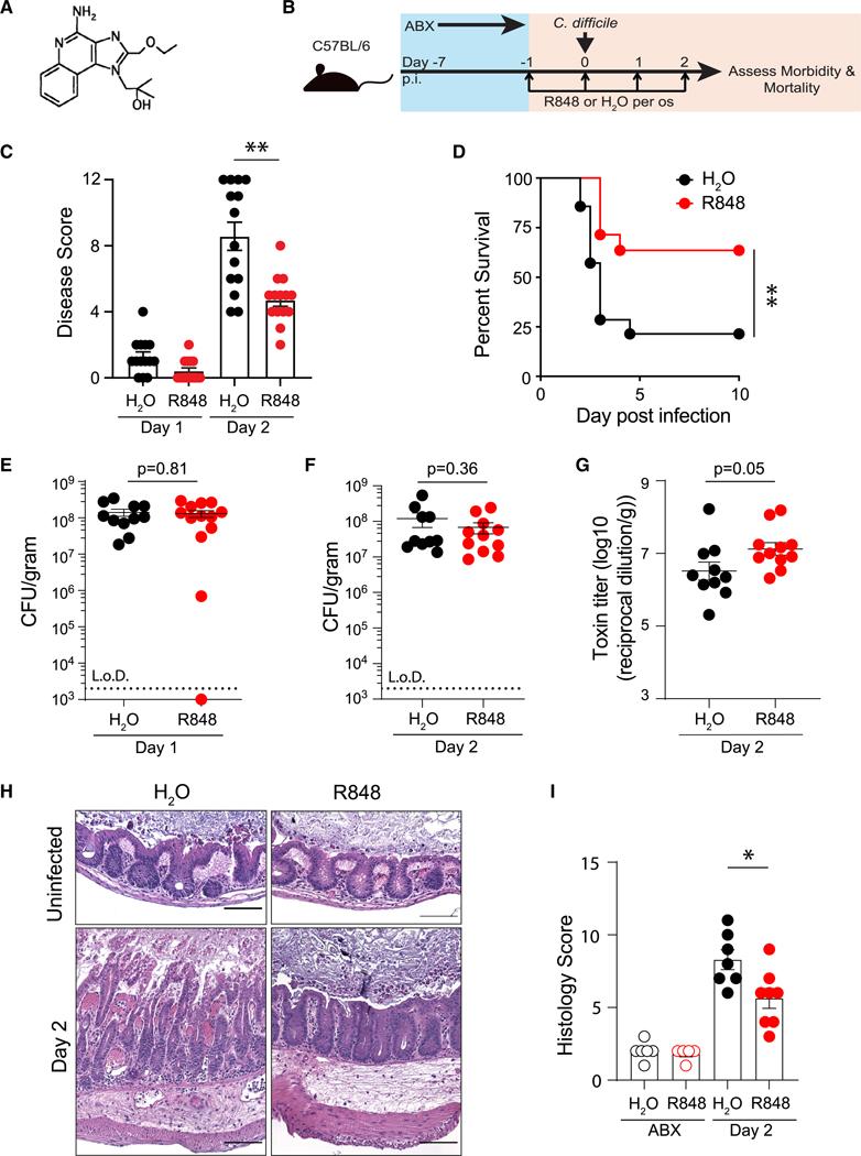 https://cdn.ncbi.nlm.nih.gov/pmc/blobs/eec1/12115236/57954f2c4db4/nihms-2076696-f0001.jpg