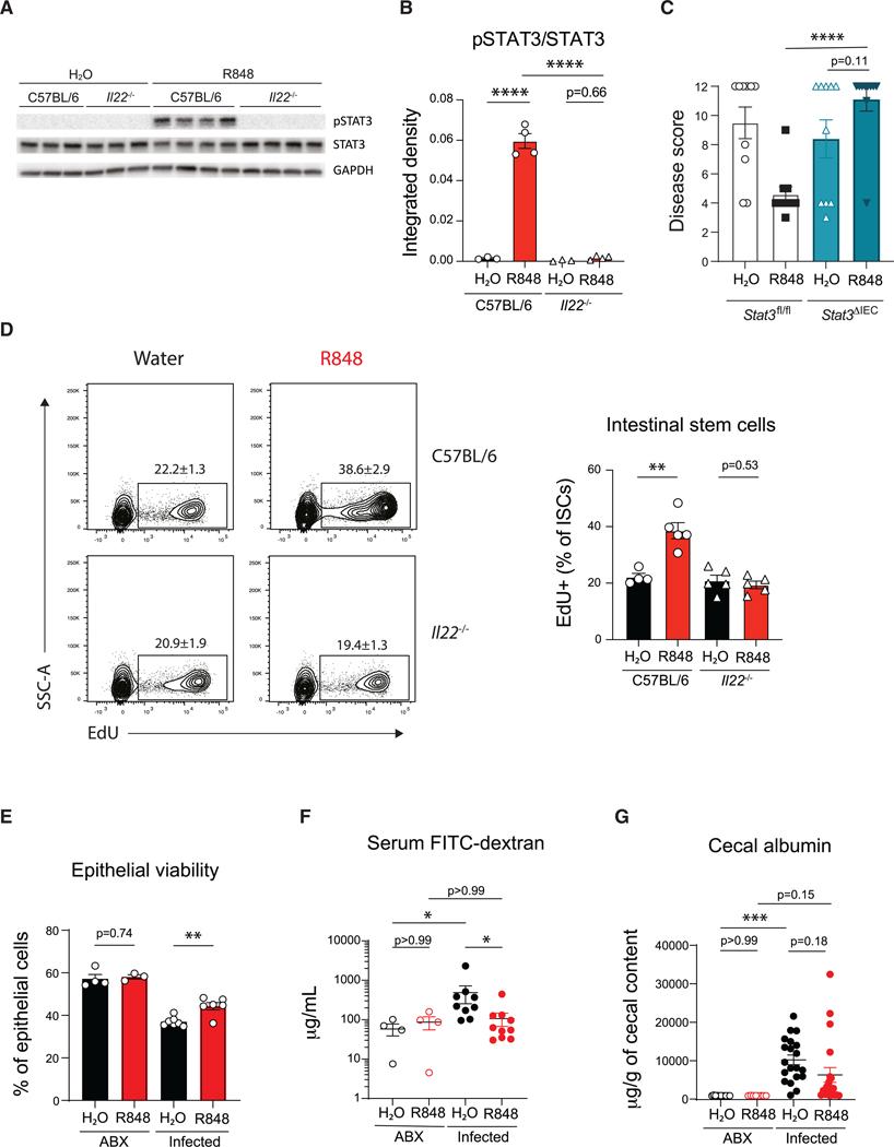 https://cdn.ncbi.nlm.nih.gov/pmc/blobs/eec1/12115236/affc70b3e26f/nihms-2076696-f0005.jpg