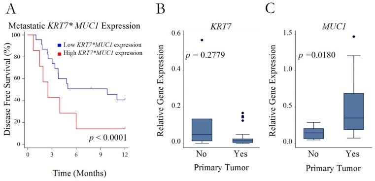 https://cdn.ncbi.nlm.nih.gov/pmc/blobs/eec1/6751227/baf417820d94/CMAR-11-8209-g0003.jpg