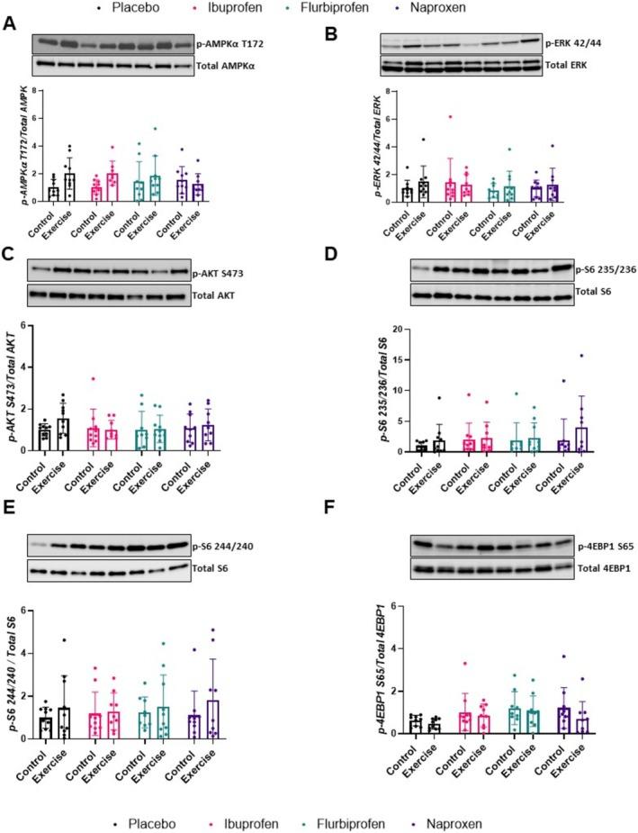 https://cdn.ncbi.nlm.nih.gov/pmc/blobs/eec3/11985359/ab0c590f46ef/JCSM-16-e13798-g001.jpg