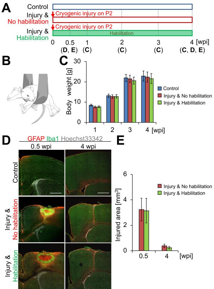 https://cdn.ncbi.nlm.nih.gov/pmc/blobs/eec3/9706041/482dd0fd244a/prm-7-20220061-g001.jpg