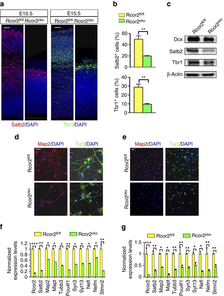 https://cdn.ncbi.nlm.nih.gov/pmc/blobs/eec4/4736047/582c04c91c18/ncomms10481-f3.jpg